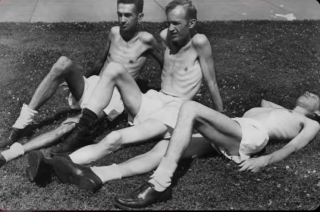Wpływ niedożywienia na organizm człowieka. Eksperyment głodowy w Minnesocie. 5 6